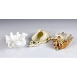 A Royal Worcester cream glazed wall pocket, modelled in the form of a conch shell with rustic