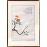 An antique Chinese watercolour on silk of a bird, probably 19th century, the white feathered bird