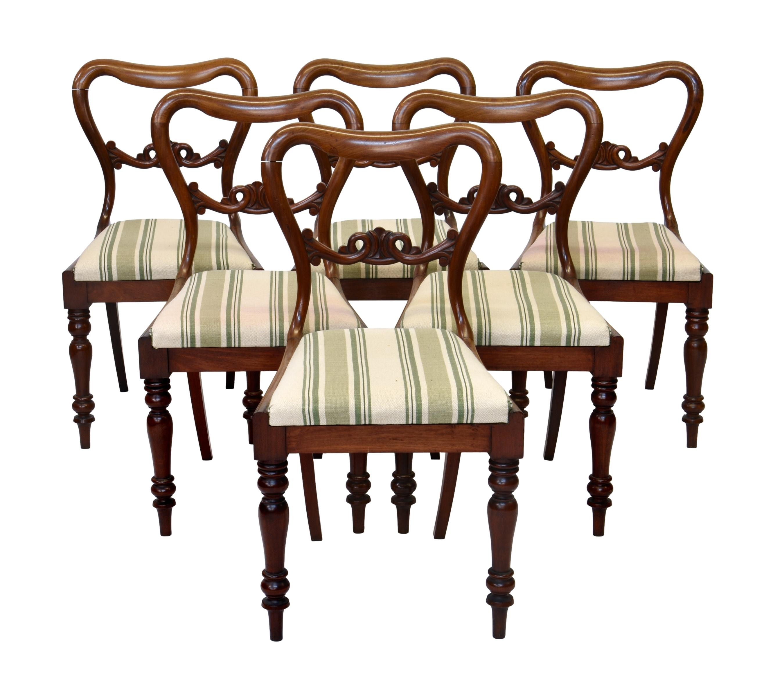 A set of six Victorian walnut balloon back dining chairs, with pierced scroll backs and drop-in