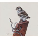Cees Roorda (Dutch, b.1942), House sparrow chick perching on a fence post. acrylic on card, signed