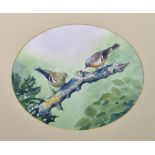 T. M. Robilliard (Guernsey, 20th century), Study of a pair of Chaffinches, oval watercolour, signed