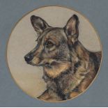 English School (20th century), Portrait of an Alsatian dog, pastel