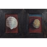 Laura De La Mare (British, 20th century), 'Cockle Shell'; 'Walnut'. watercolour, a pair, one