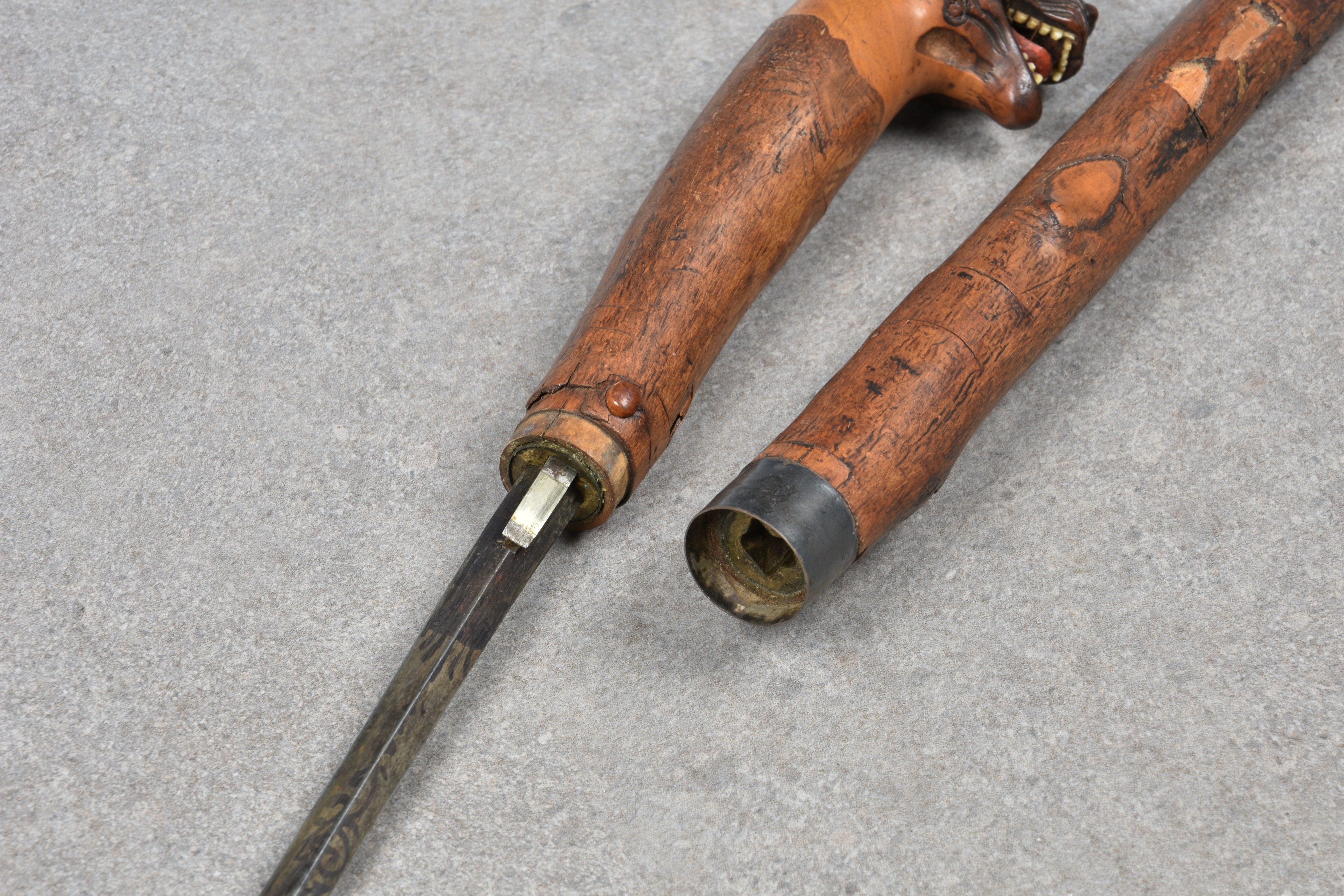 A Victorian carved dog head walking cane, fruit wood, the head with realistic features, glass - Image 5 of 5