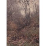 English School, 1900, Wooded Landscape. * watercolour, monogram lower left “LJ” and dated 1900,