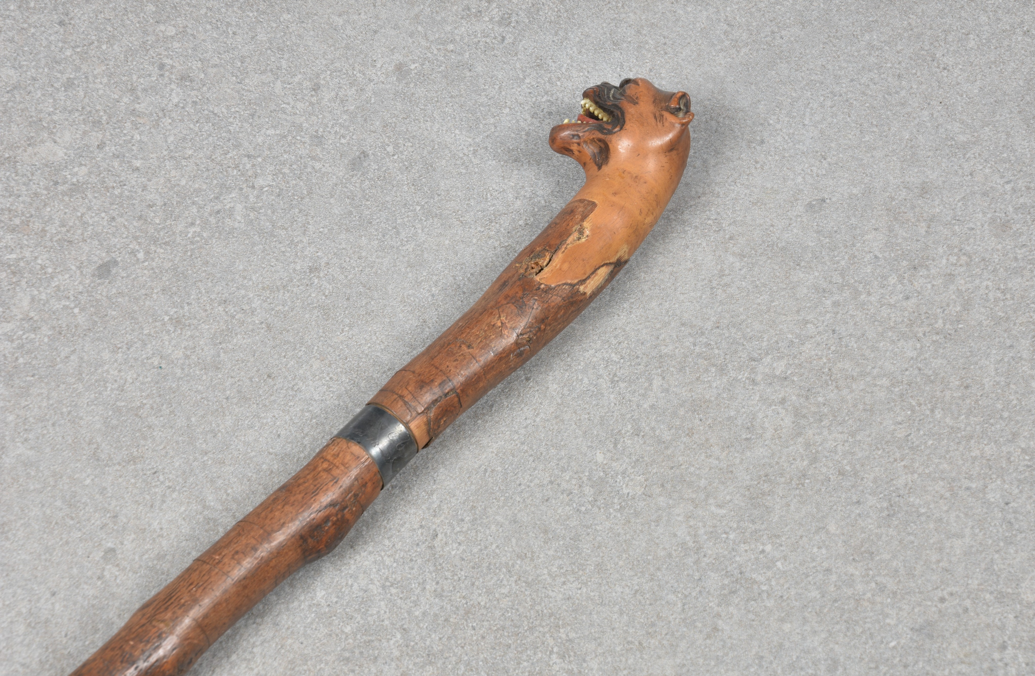 A Victorian carved dog head walking cane, fruit wood, the head with realistic features, glass - Image 2 of 5