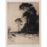 John G. Mathieson (Scottish, fl.1918-1940), “Winter Brands of Dune”, etching, signed in pencil lower