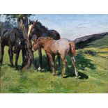 Dorothy Adamson (British, 1893-1934), Three horses in a summer landscape. oil on canvas, signed
