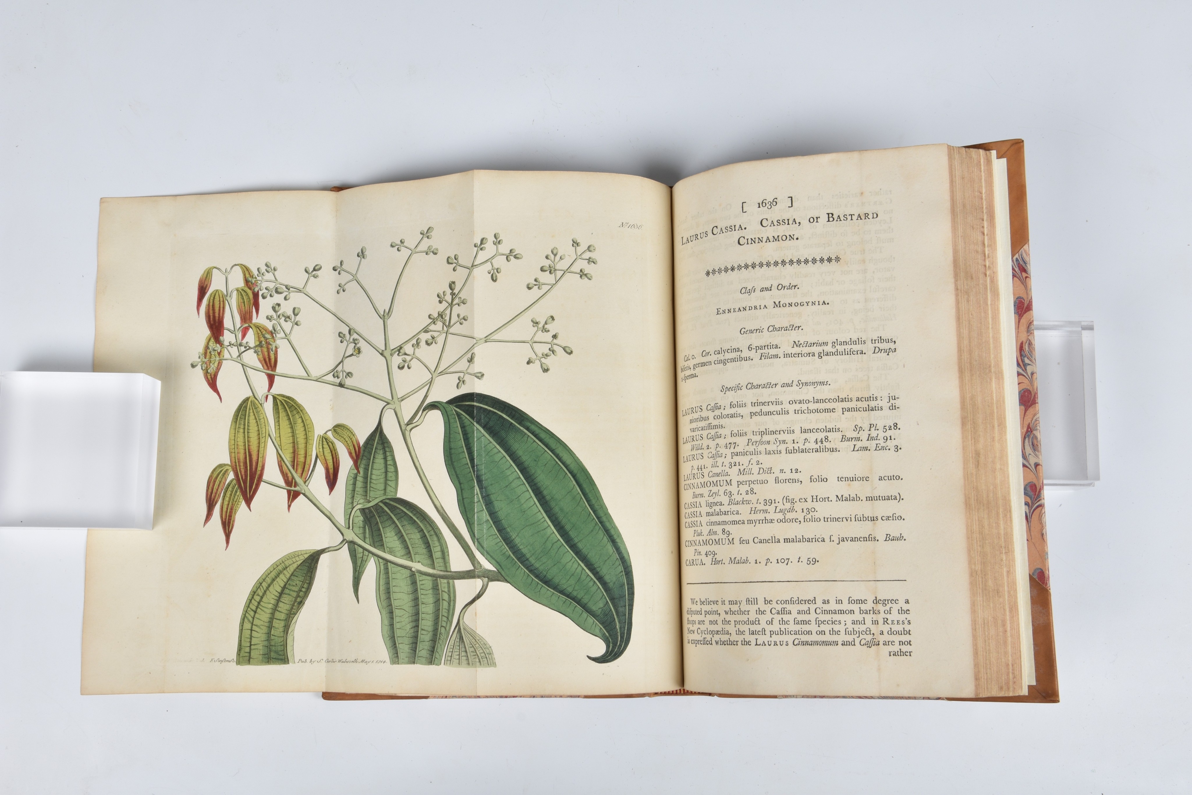 Curtis (Samuel and Hooker, Sir William Jackson). Curtis's Botanical Magazine; or Flower-Garden - Image 5 of 6