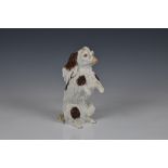 A Meissen style Dresden porcelain model of a Bolognese Terrier, late 19th / early 20th century