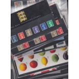 STAMPS GREAT BRITAIN : Presentation Packs 1982 to 2005 includes definitive packs and minisheets etc