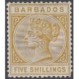 STAMPS BARBADOS - 1886 5/- bistre mounted mint SG 103 Cat £170