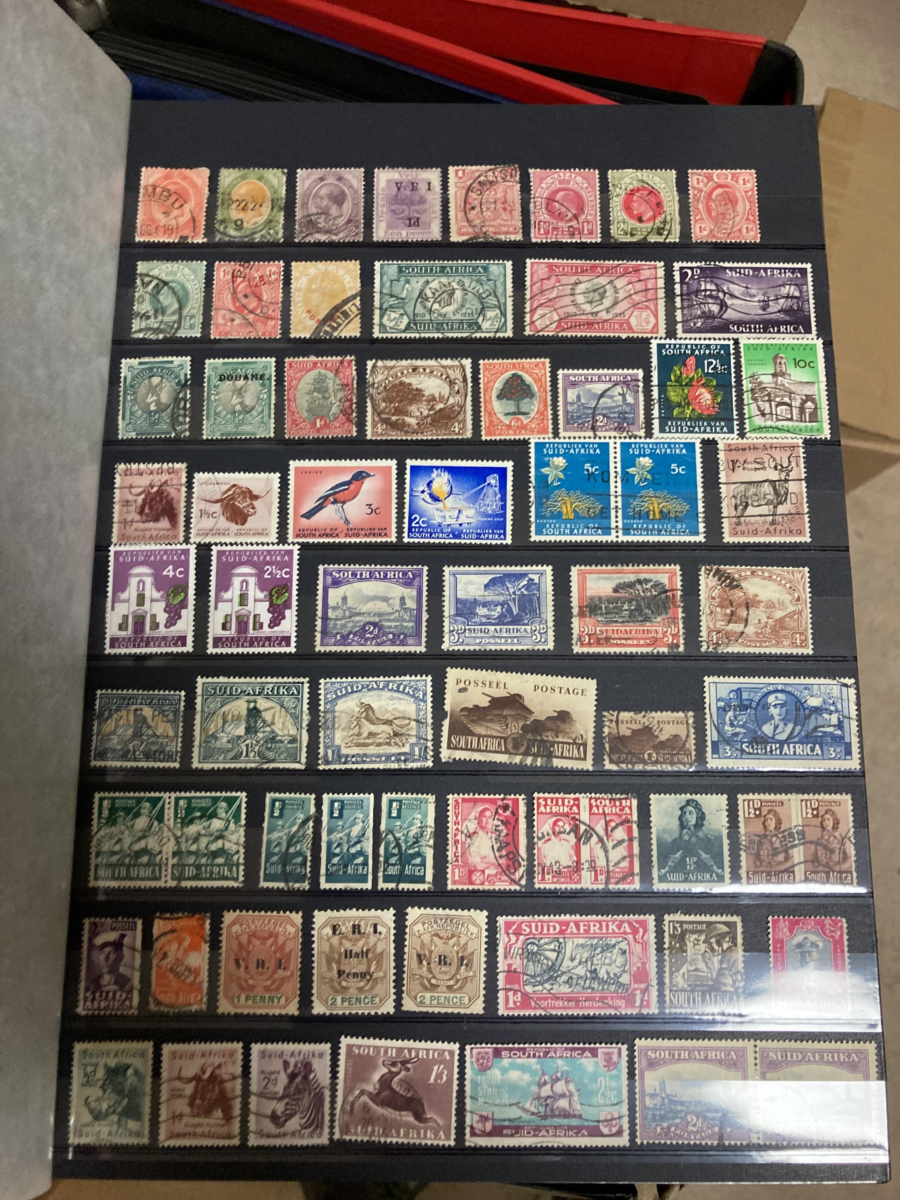 STAMPS BRITISH COMMONWEALTH, box with 14 stockbooks or albums. - Image 4 of 4