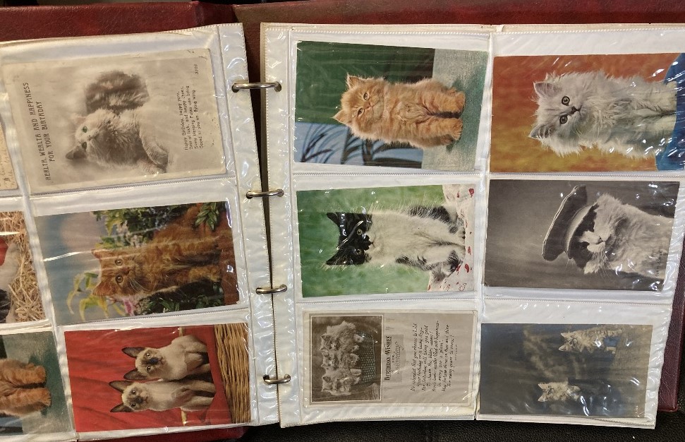 POSTCARDS Animals, collection in two albums of cats, birds, dogs and others, - Image 4 of 4