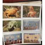 POSTCARDS Animals, collection in two alb