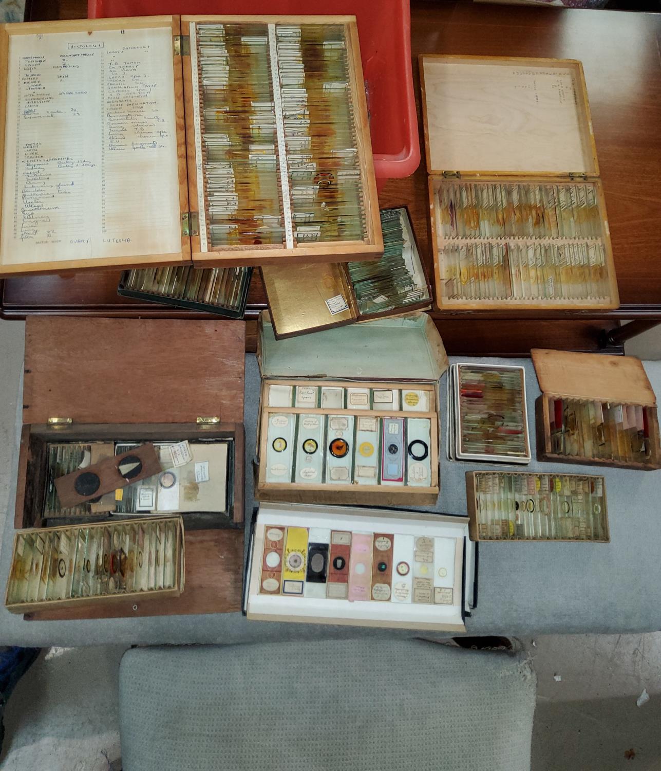 A large collection of microscope slides