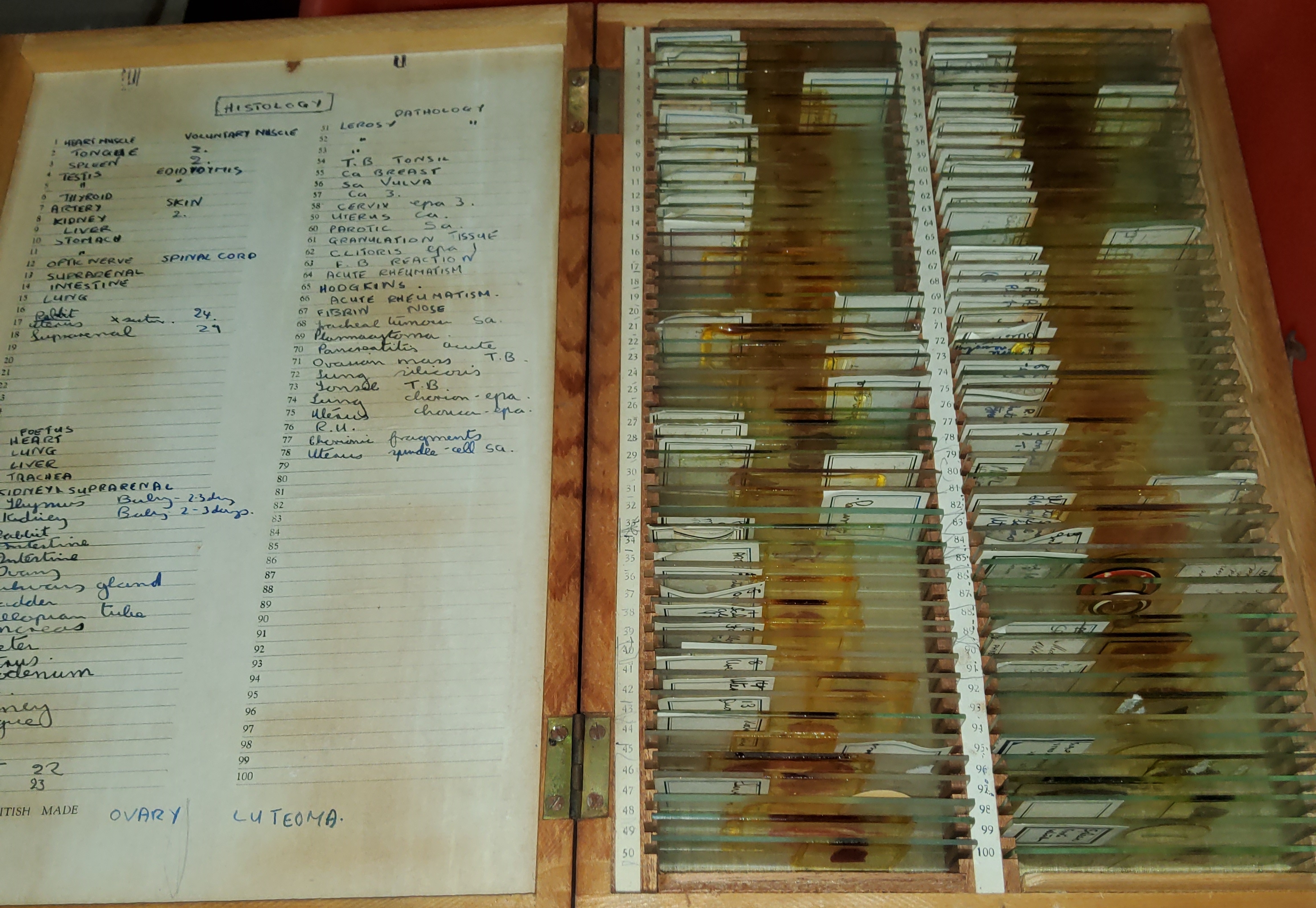 A large collection of microscope slides - Image 2 of 5