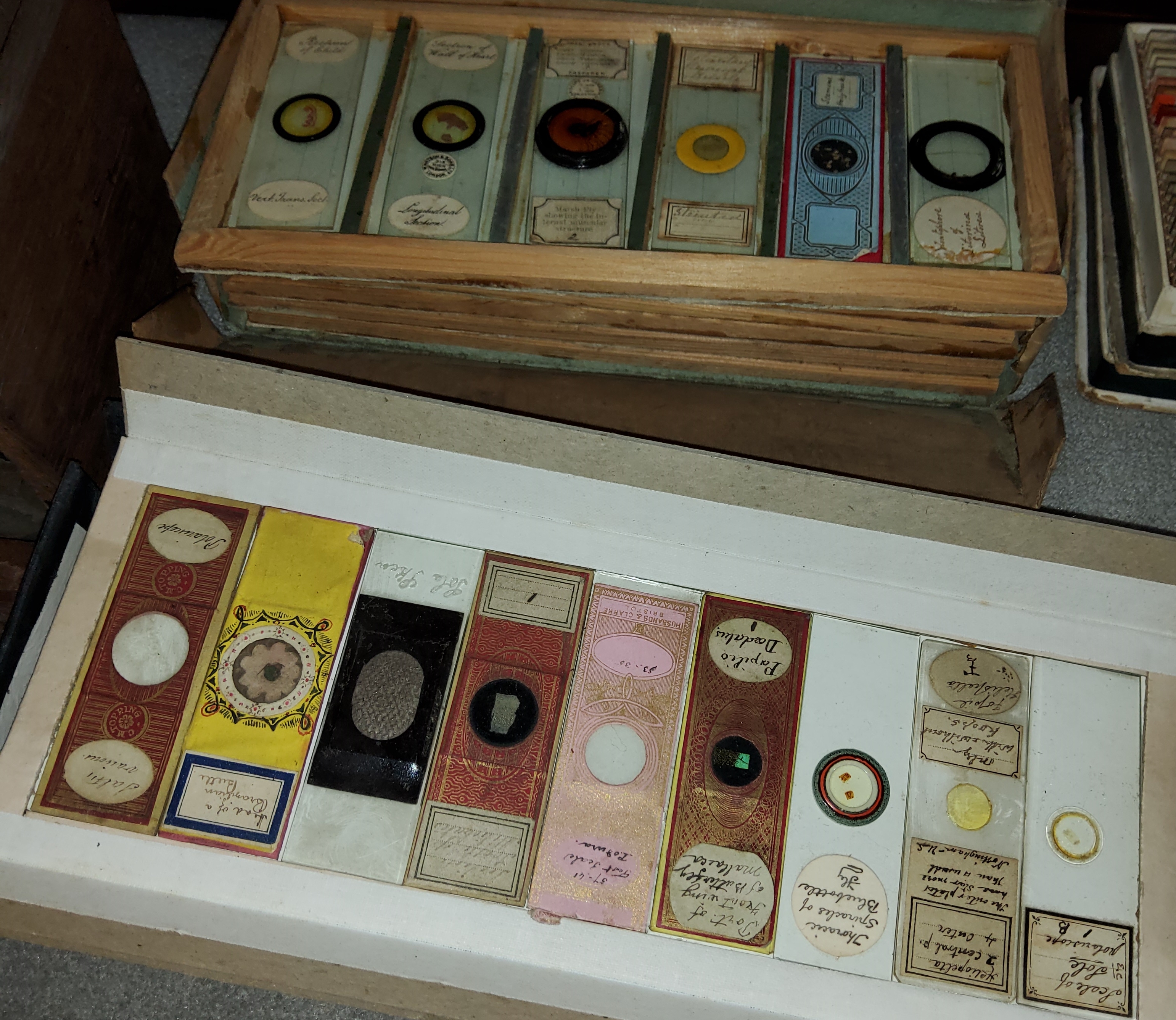 A large collection of microscope slides - Image 4 of 5