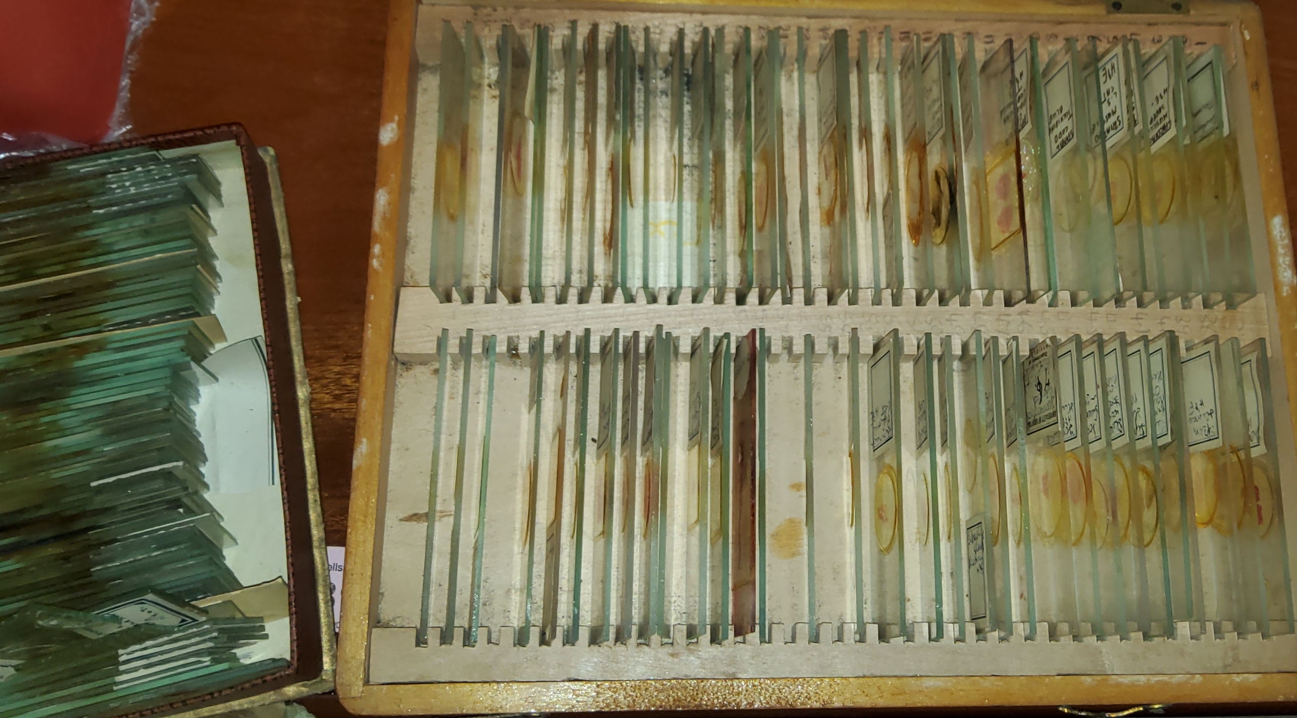 A large collection of microscope slides - Image 3 of 5