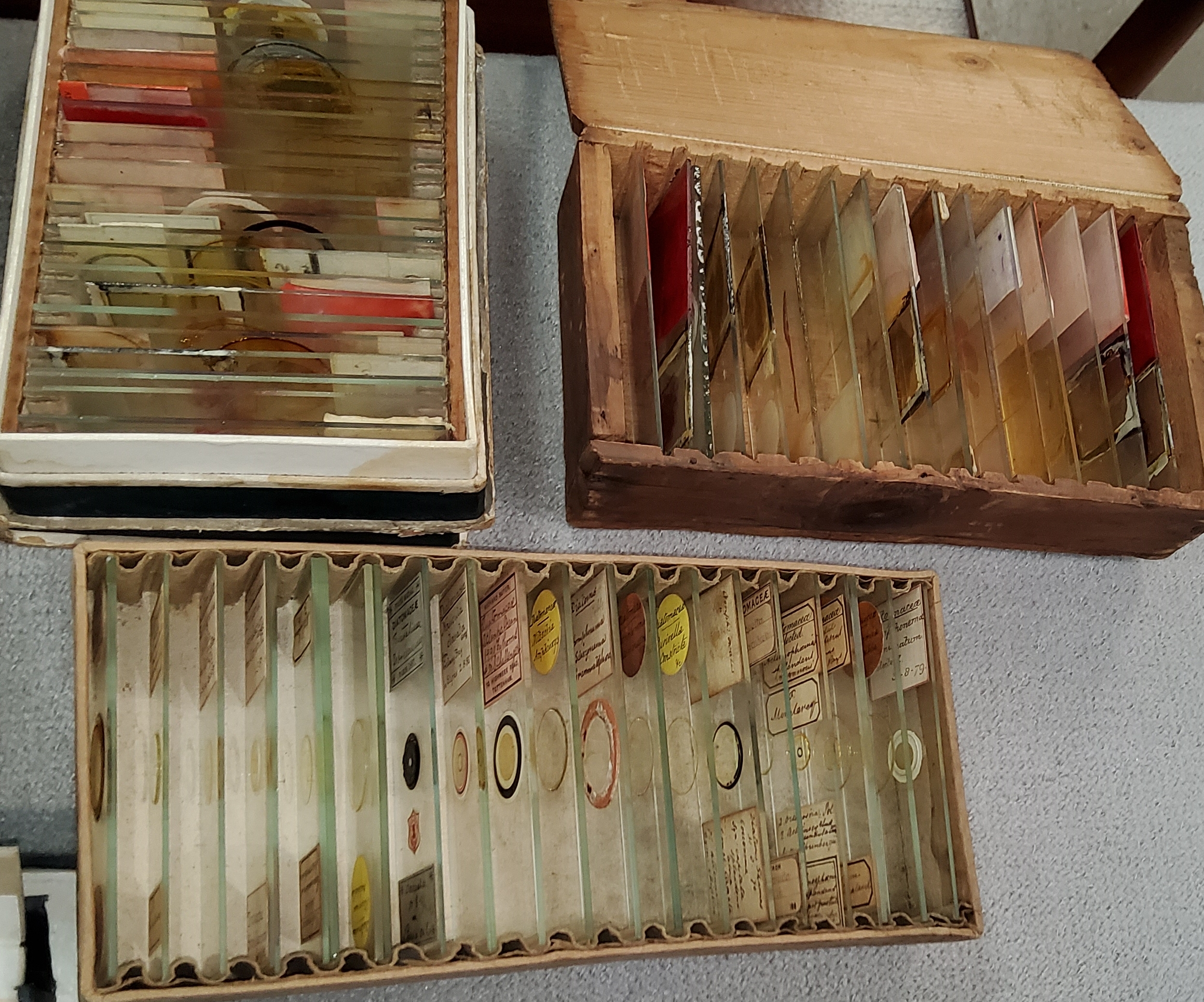 A large collection of microscope slides - Image 5 of 5