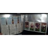 An album of various football cigarette cards, trading cards, gum cards etc