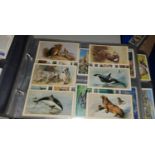 A large selection of natural history cigarette and tee cards including birds, fish, butterfly etc