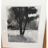 A monochrome mixed charcoal and water colour picture of a tree, monogrammed D J M to lower left