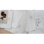 A large collection of animation rough sketches of a cat smoking a cigar, other animal animation