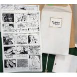 Two Cosgrove Hall Productions A4 photocopied full story boards re. Count Duckula for episodes 'The