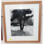 A monochrome mixed charcoal and water colour picture of a tree, monogrammed D J M to lower left