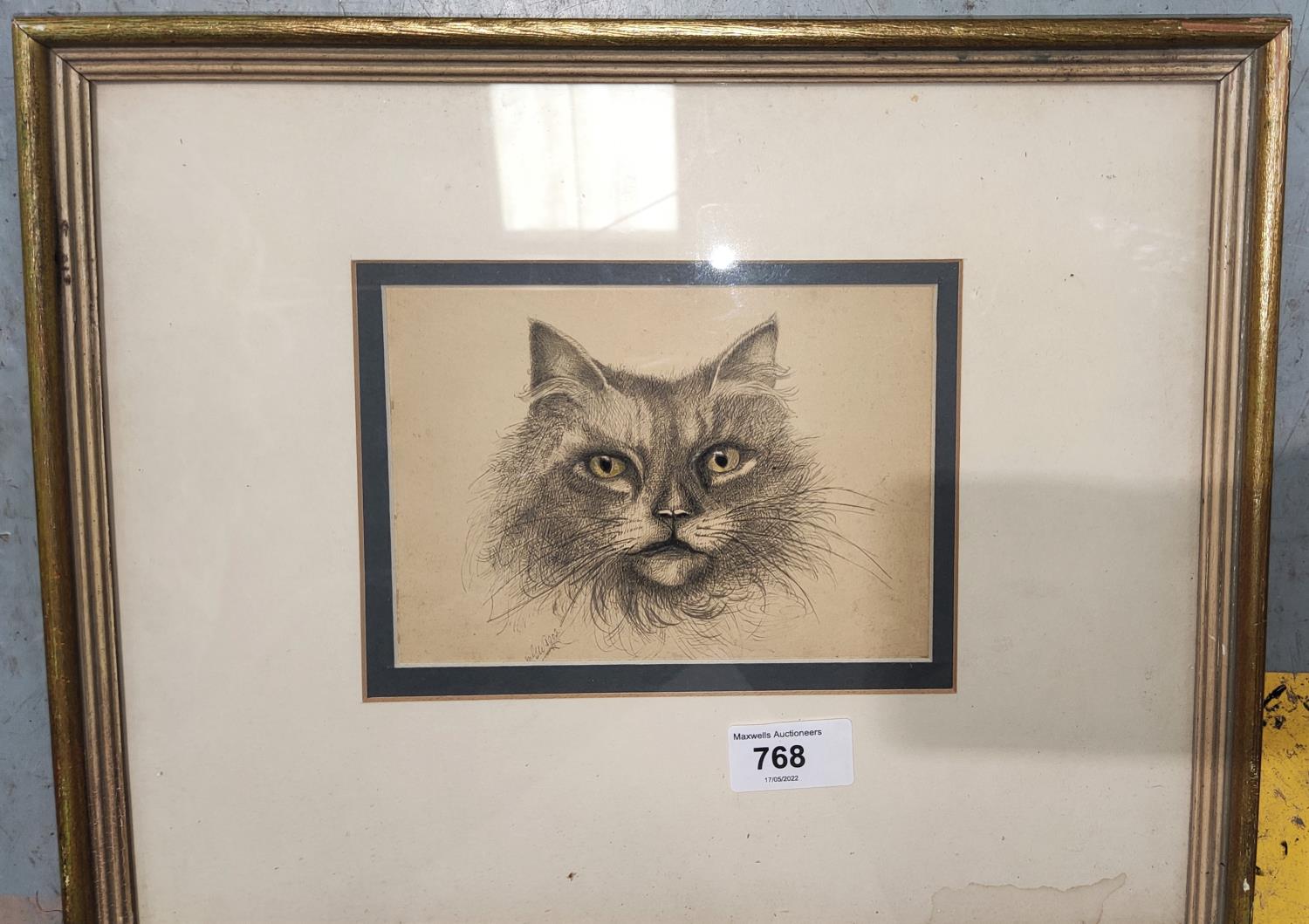 An early 20th century watercolour of a cat's face in black and white with yellow eyes, signed