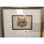 An early 20th century watercolour of a cat's face in black and white with yellow eyes, signed