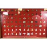 A large display set of military badges in oak frame