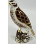 A Royal Crown Derby boxed paperweight bird of prey:  Buzzard, gold stopper, limited edition 204/750,