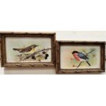 A pair of hand painted ceramic bird plaques by Leighton Maybury:  Bullfinch & Marsh Warbler, 9 x