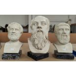 Three plaster head busts of Greek philosophers on grey marble bases, 2 x 24cm, 1 x 30cm