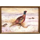 A Royal Worcester hand painted ceramic plaque decorated with pheasant in the snow, signed Bryan Cox,