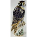 A Royal Crown Derby boxed paperweight bird of prey:  Peregrine Falcon, gold stopper, MMVIII