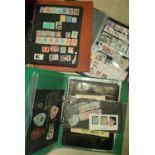 A collection of world stamps in albums and stock books
