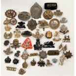 A selection of military badges etc