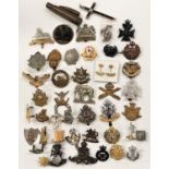A selection of various military badges etc