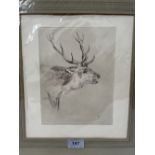 ENGLISH SCHOOL. 20TH CENTURY Study of a stag. Signed L.S. Etching 8½' x 6½' Unframed.