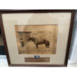 A framed sepia photograph of the 19th century racehorse Bendigo. The mount 16' x 18'