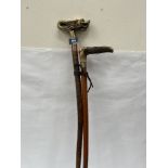 A walking stick with cast brass dragon head pommel together with a malacca stick with antler pommel