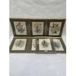 Seven framed and mounted botanical lithographs by Day & Haghe. 19th century. 10' x 8'