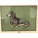 20TH CENTURY SCHOOL Study of a dachshund. Watercolour 11' x 15'