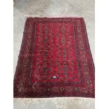 An eastern red ground rug. 66' x 50'
