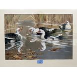 ERIC MEADE-KING. BRITISH 1911-1987 Muscovy Ducks. Signed. Watercolour 11½' x 17'