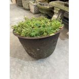 A cast iron garden planter. 22' diam.