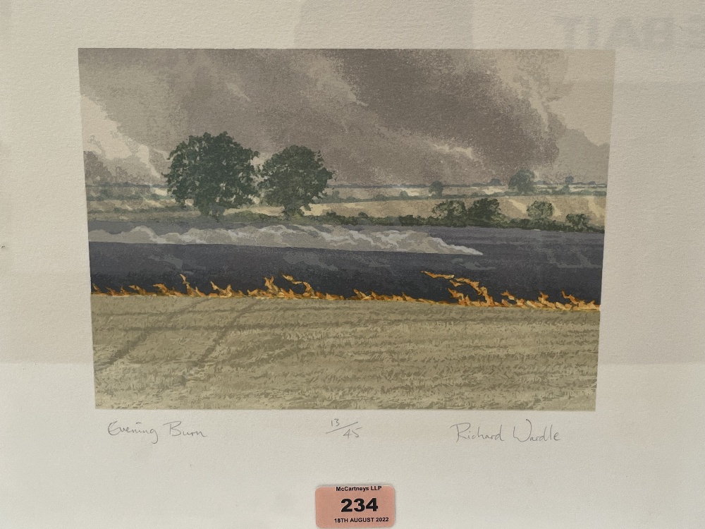 RICHARD WARDLE. BRITISH CONTEMPORY Evening Burn. Signed, inscribed and numbered 13/45. Screen